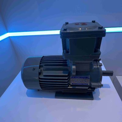 Large Cast Iron Waterproof Electric Motor Medium Voltage