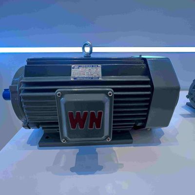 Large Cast Iron Waterproof Electric Motor Medium Voltage