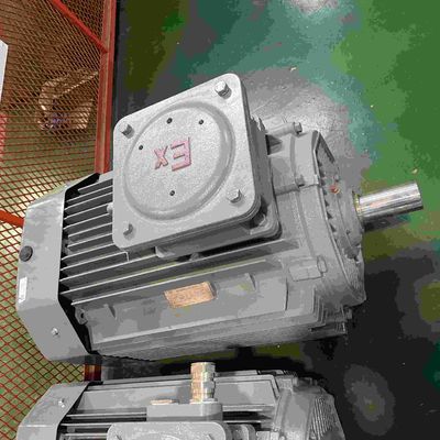 Stainless Steel Explosion Proof Electrical Motor For Food Processing Plant