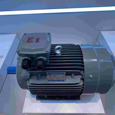 Stainless Steel Explosion Proof Electrical Motor For Food Processing Plant