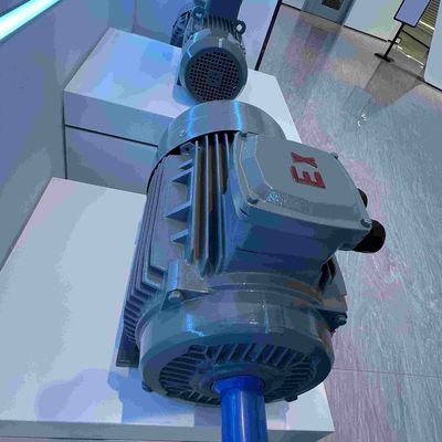 8KV High Voltage Customized Cast Iron Explosion Proof Electric Motors