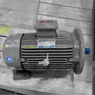 Easy Installation Energy Saving High Speed Low Voltage Electric Motor