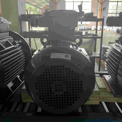 Low Voltage Electric Motors Corrosion Protection For Electric Forklift