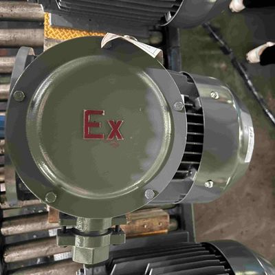 220V Single Phase Electric Motors Low Voltage With CCC