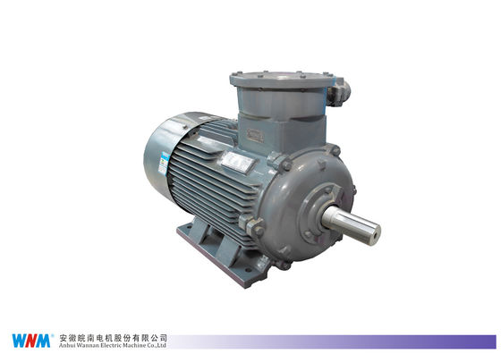 Stainless Steel Explosion Proof Electrical Motor For Food Processing Plant