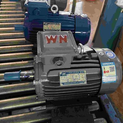 Variable Speed High Efficiency Electric Motor Three Phase For Metallurgy