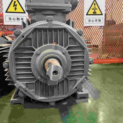 8KV High Voltage Customized Cast Iron Explosion Proof Electric Motors
