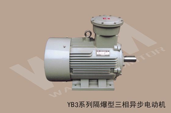 8KV High Voltage Customized Cast Iron Explosion Proof Electric Motors