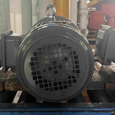 Three Phase Adjustable Speed Low Voltage Electric Motors For Packing Machine