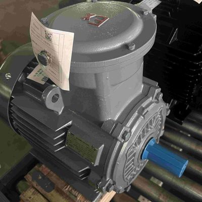 Three Phase Adjustable Speed Low Voltage Electric Motors For Packing Machine