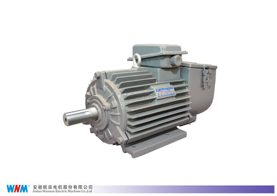 Super High Efficiency Special Electric Motors Marine Three Phase Induction Motors With CCS