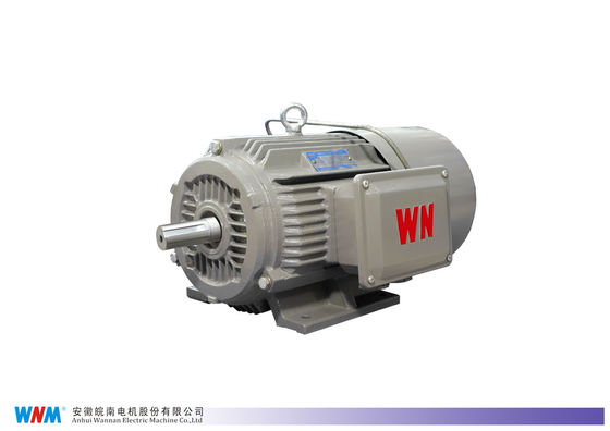 Premium High Efficiency Three Phase Induction AC Electric Asynchronous Motor